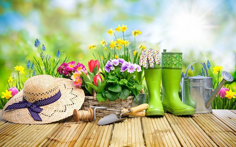 Jardins Et Maisons Fleuris 1000