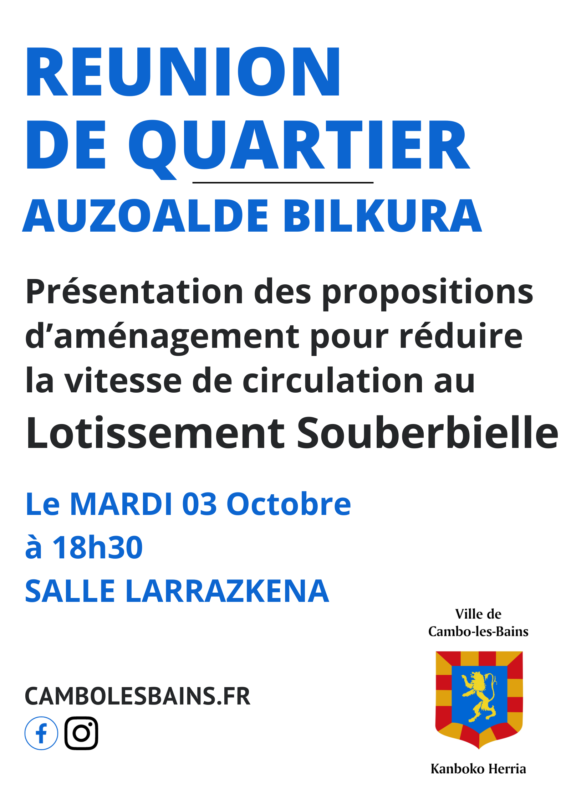Affiche Réunion De Quartier