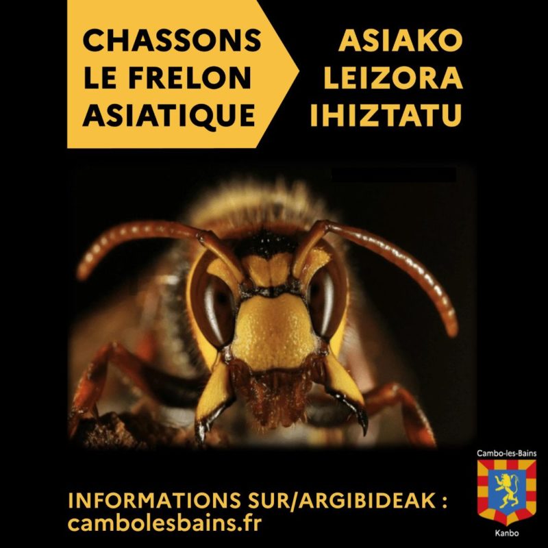 Informations Sur Argibideak Cambolesbains.fr