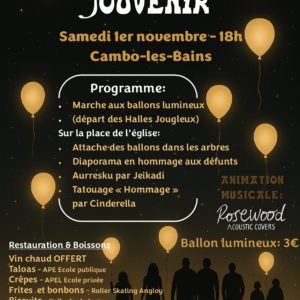 Festival Du Souvenir