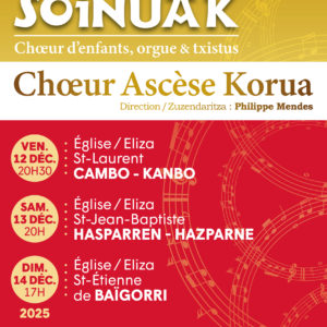 Affiche A3 Eguberriko Soinuak Web (1)