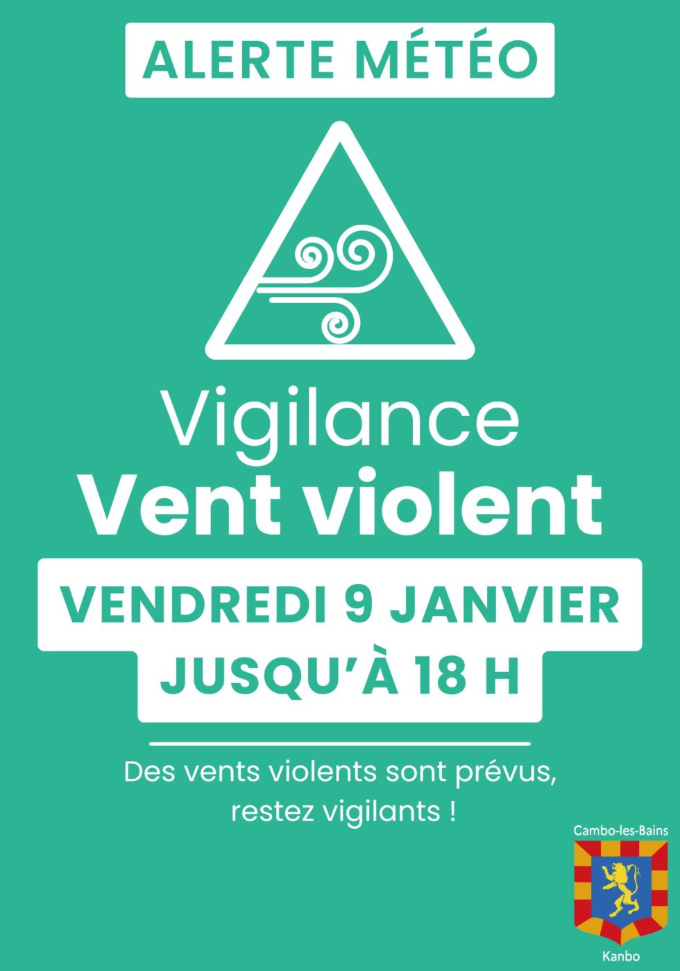 Affiche Vent Violent