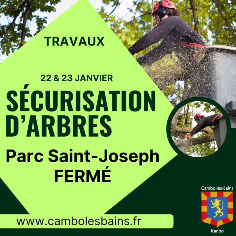 Visuel Réseaux Sociaux Arbres (1)